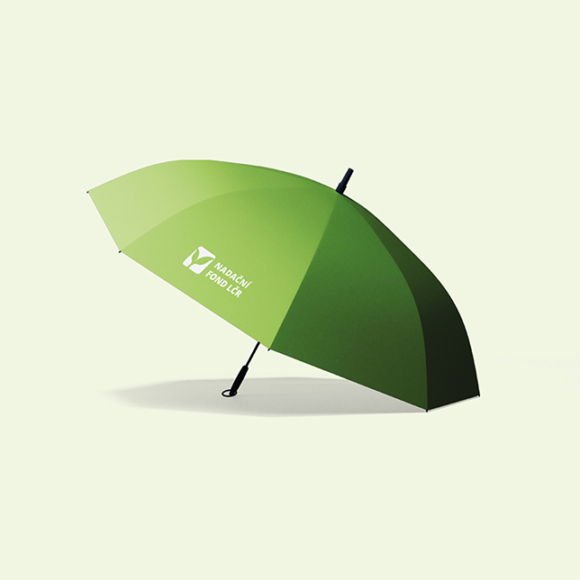 casestudy lesycr 009